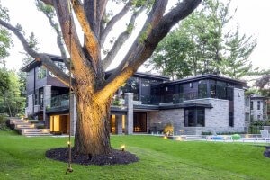 Large tree landscaping adds to home appeal